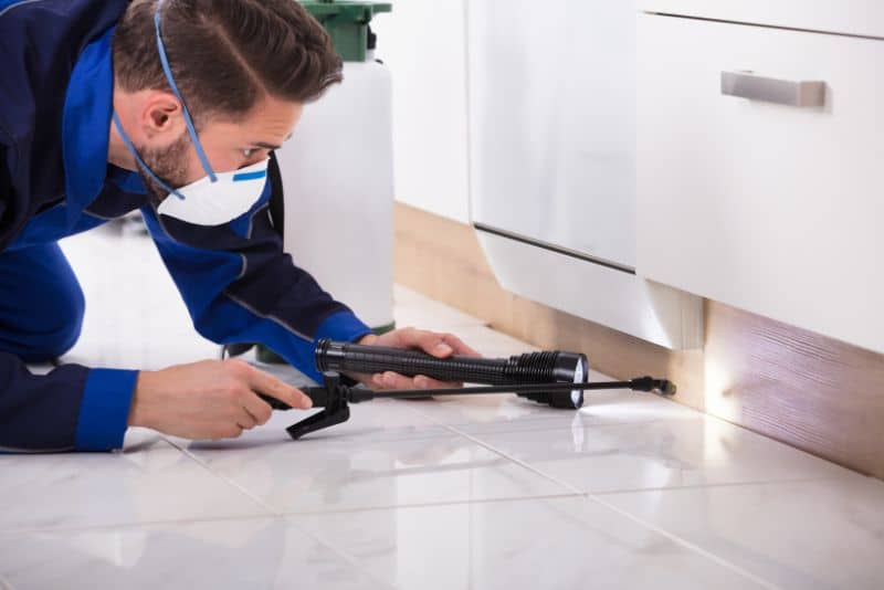 exterminator spraying under cabinets