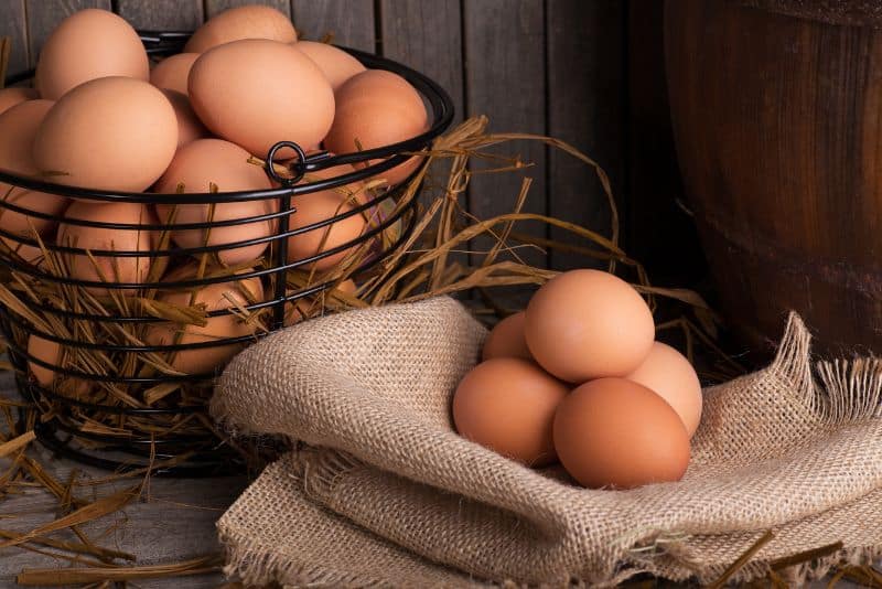 farm fresh brown eggs