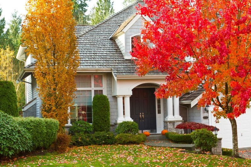 house with shingled roof in autumn