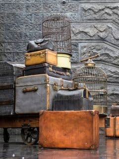 hogwarts express luggage in tokyo