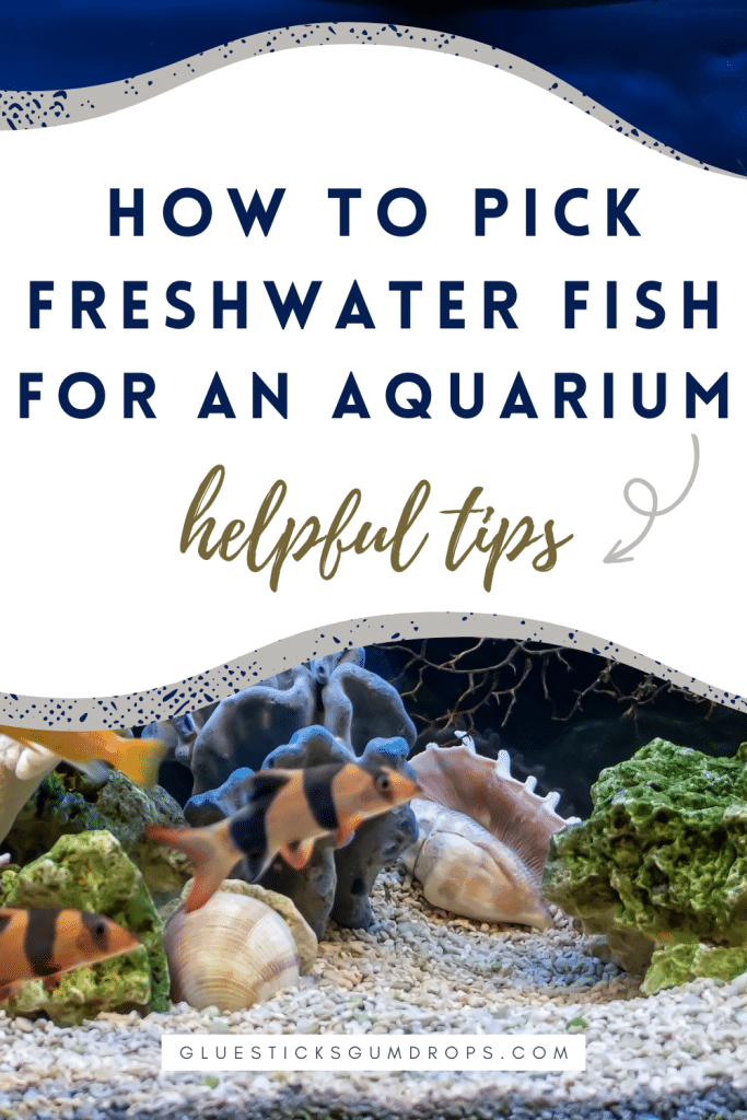 freshwater aquarium with text overlay about choosing freshwater fish