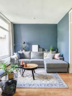 image of living room with bluish gray accent wall and comfy gray couch