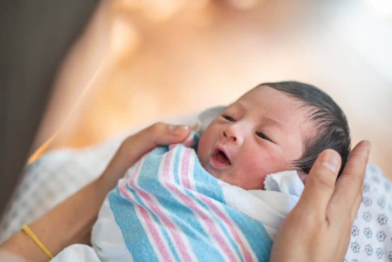 baby swaddled in blanket