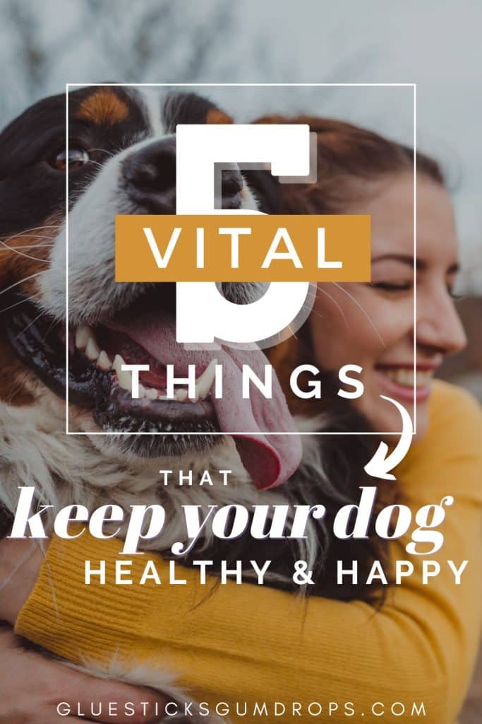 woman hugging dog - text overlay about important things that keep your dog healthy