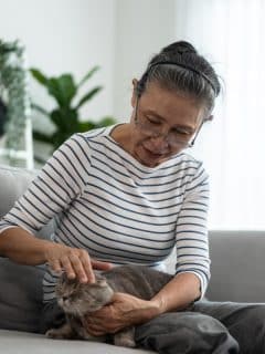 elderly woman sitting on sofa petting cat