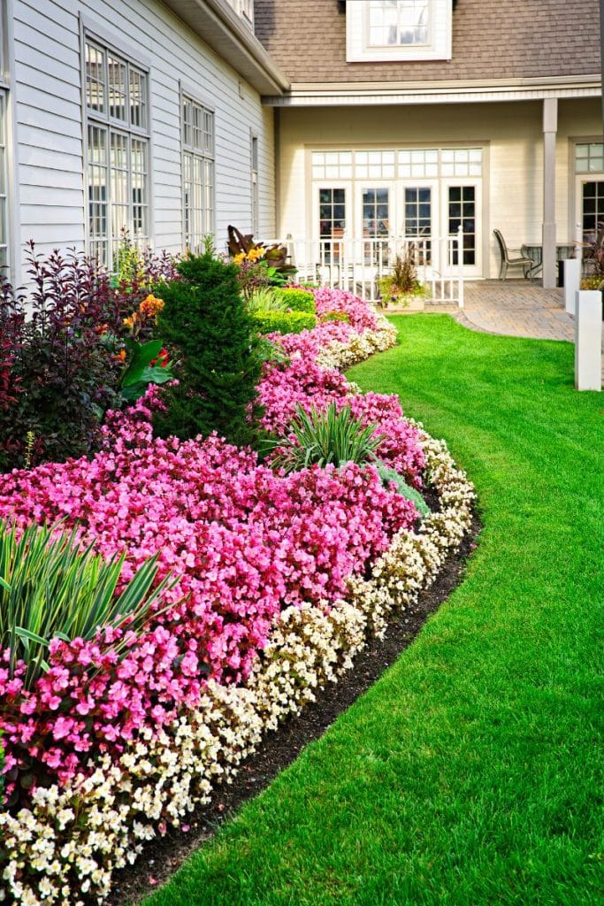 flower garden and landscaped yard