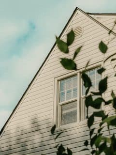 home with siding framed by leaves