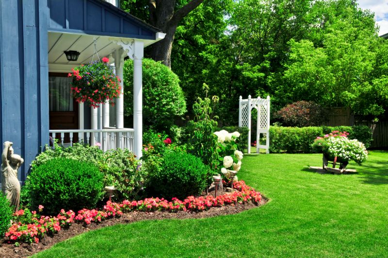 pretty garden in yard