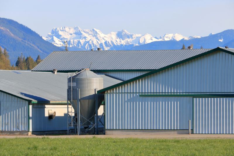 metal buildings used for agriculture