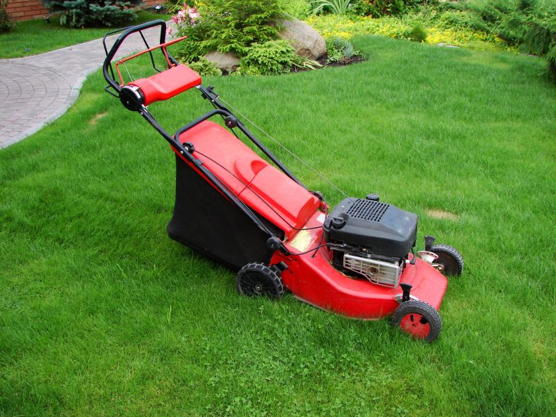 red lawn mower on vibrant green grass
