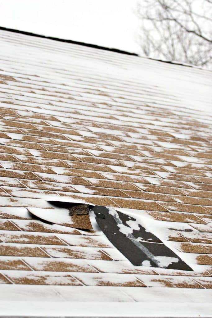 vertical shot of snow damaged shingled roof