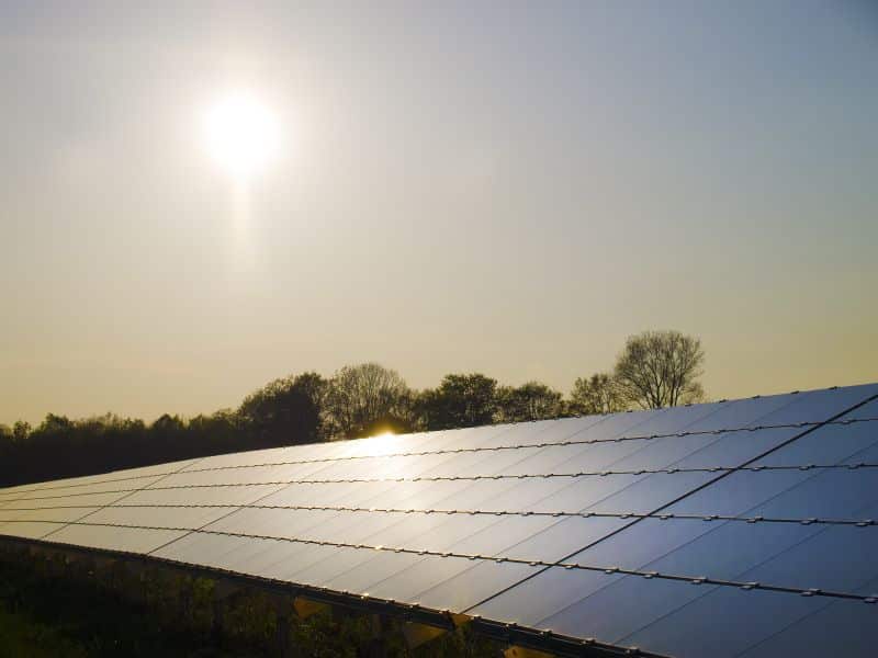 rows of solar panels at sunset