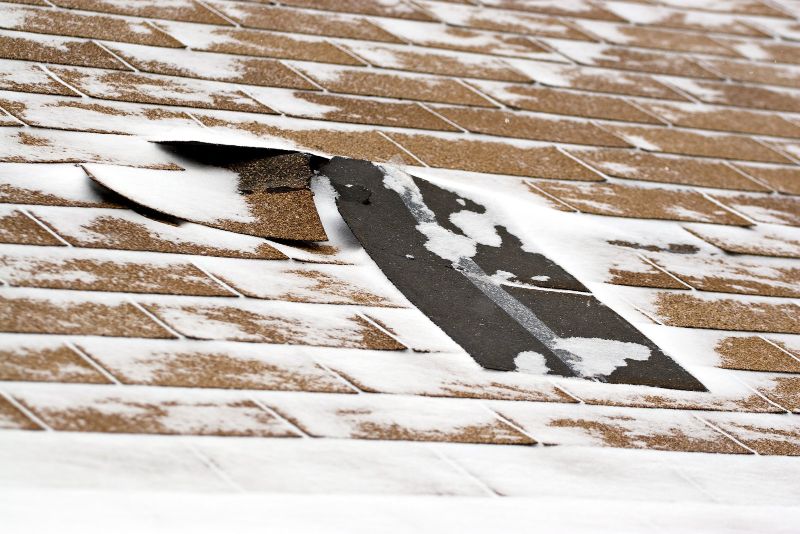 shingles damaged by winter weather