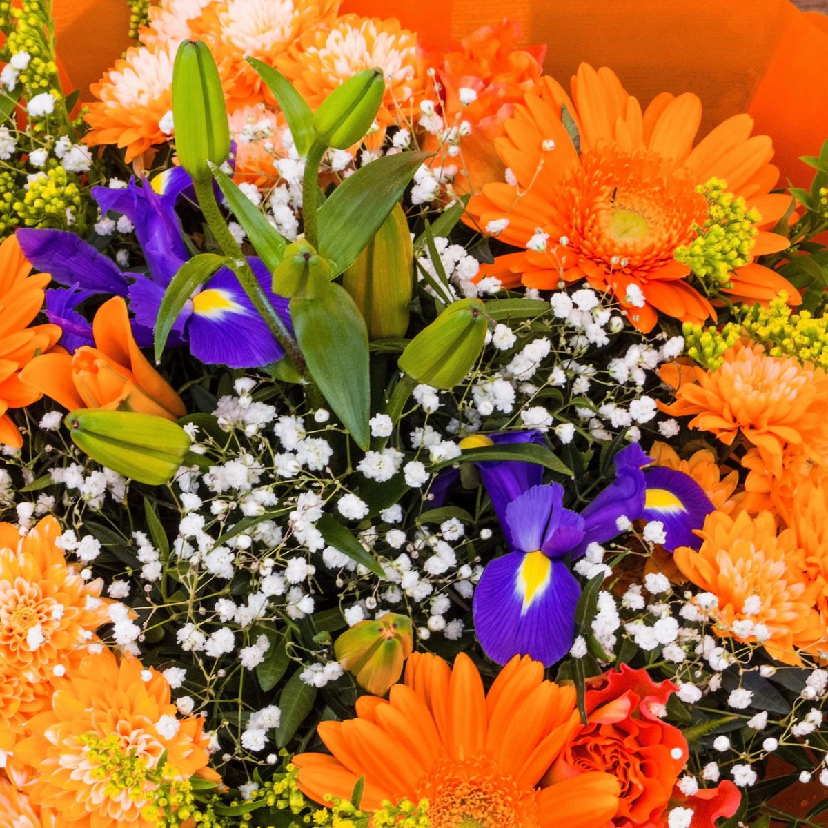 Trip Prompts Cultural Aspects Related To Flowers Around The World