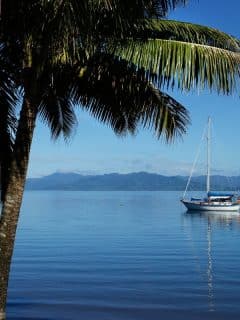 boat and palm trees harbor in fiji