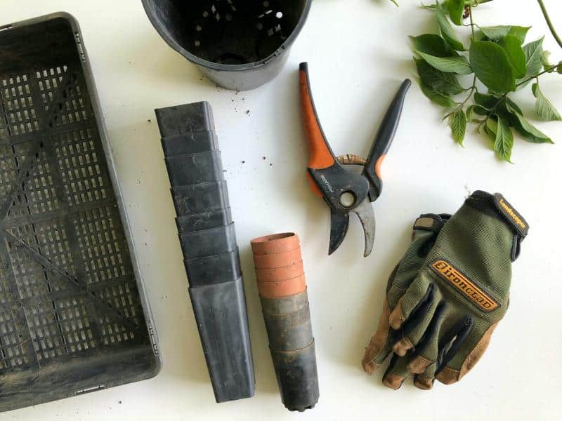 garden shears, gloves, and planters