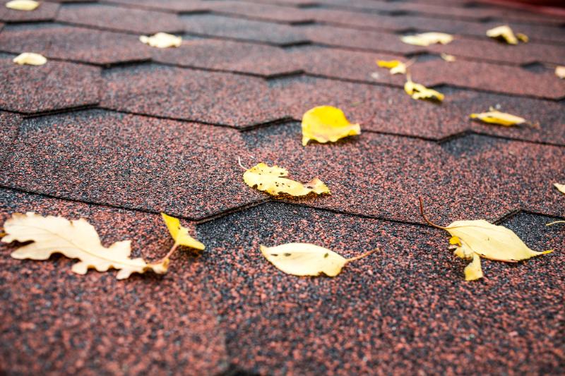 a shingled roof up close with leaves on surface