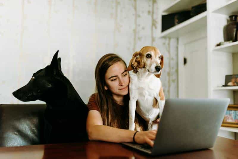 woman with laptop and her two dogs