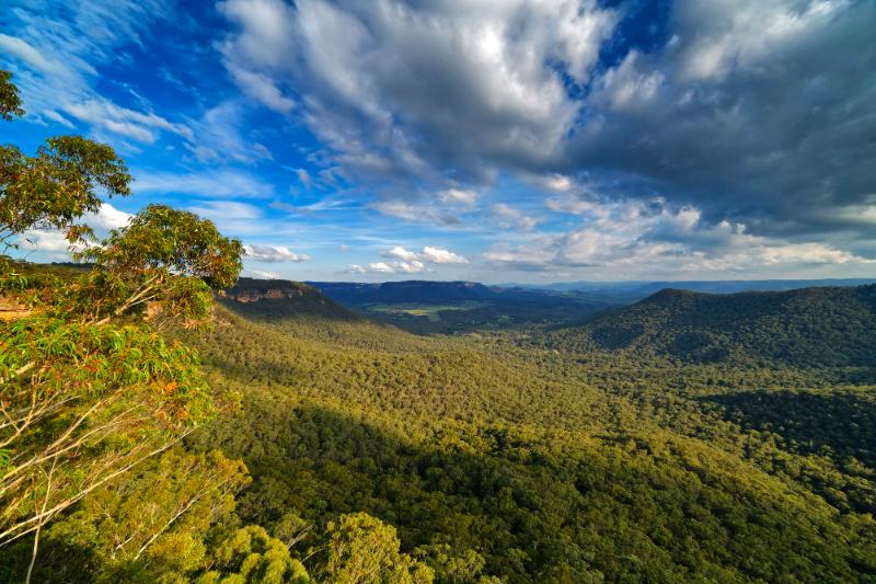 Mitchell's Ridge in the Blue Mountains in Australia