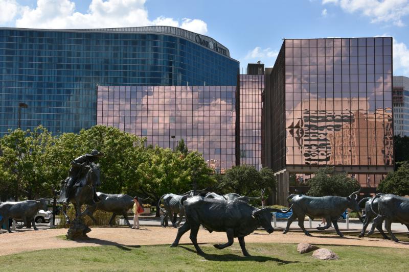 cattle drive sculpture in dallas texas