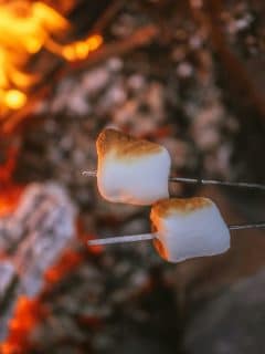 roasting marshmallows on campfire