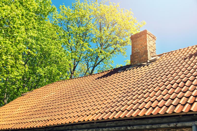 tiled roof with trees in background