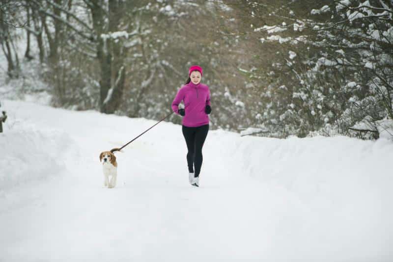 woman running in the snow with beagle on leash