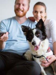 couple with dog on couch, man holding remote