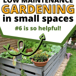 low maintenance gardening tips for small spaces