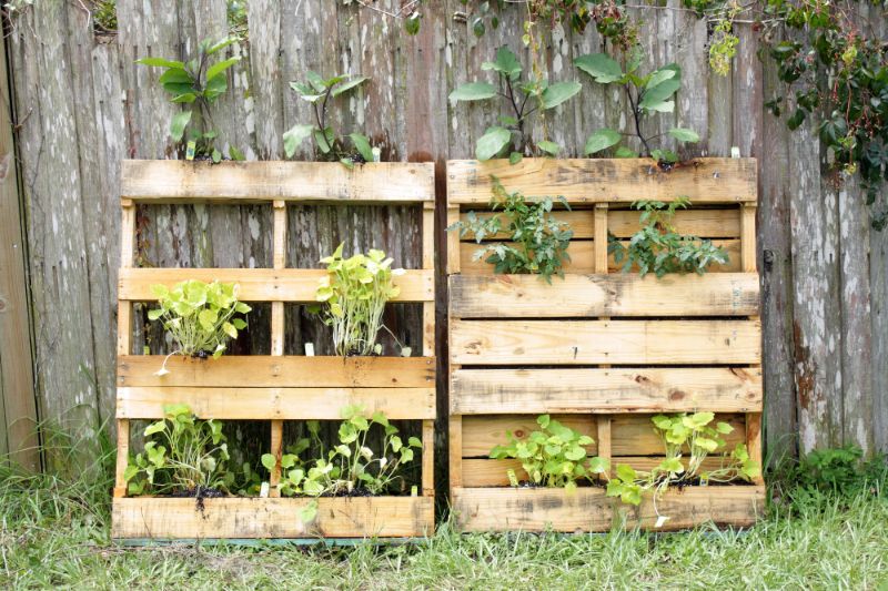 pallets used for vertical gardening