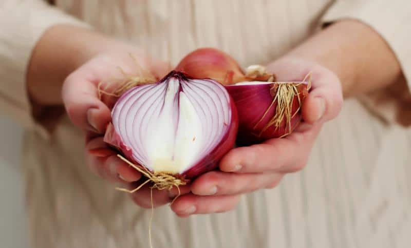 hands holding red onions with one of them cut in half