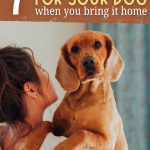 woman holding a dachshund with text overlay about 7 things you need when you bring your dog home