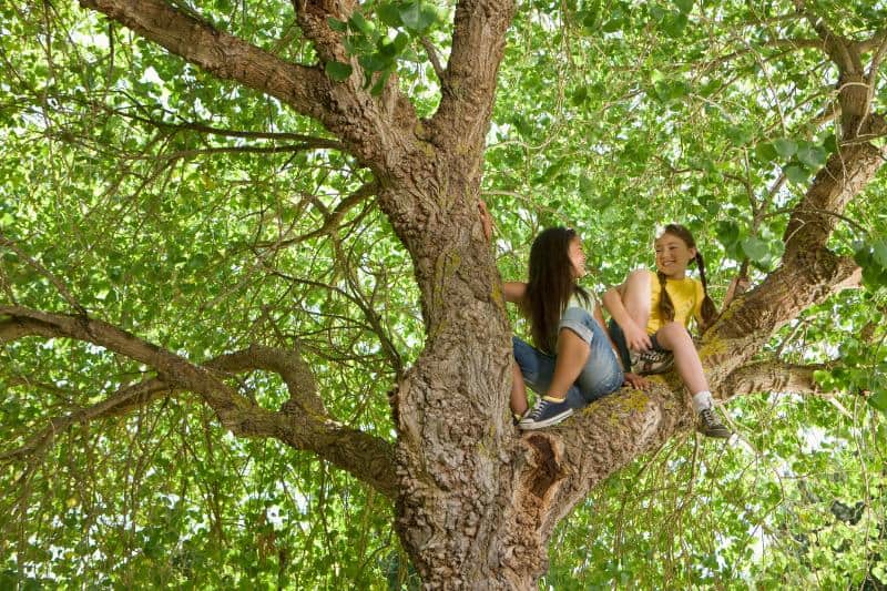 girls sitting in a tree