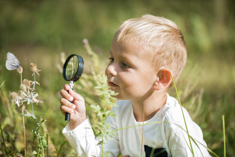 blonde boy looking at butterfly through magnifying glass
