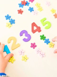 flower themed colorful math manipulatives
