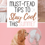 collage of dog in front of fan on bottom with bedroom with pink accents on top