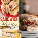 sandwich recipes collage with tex