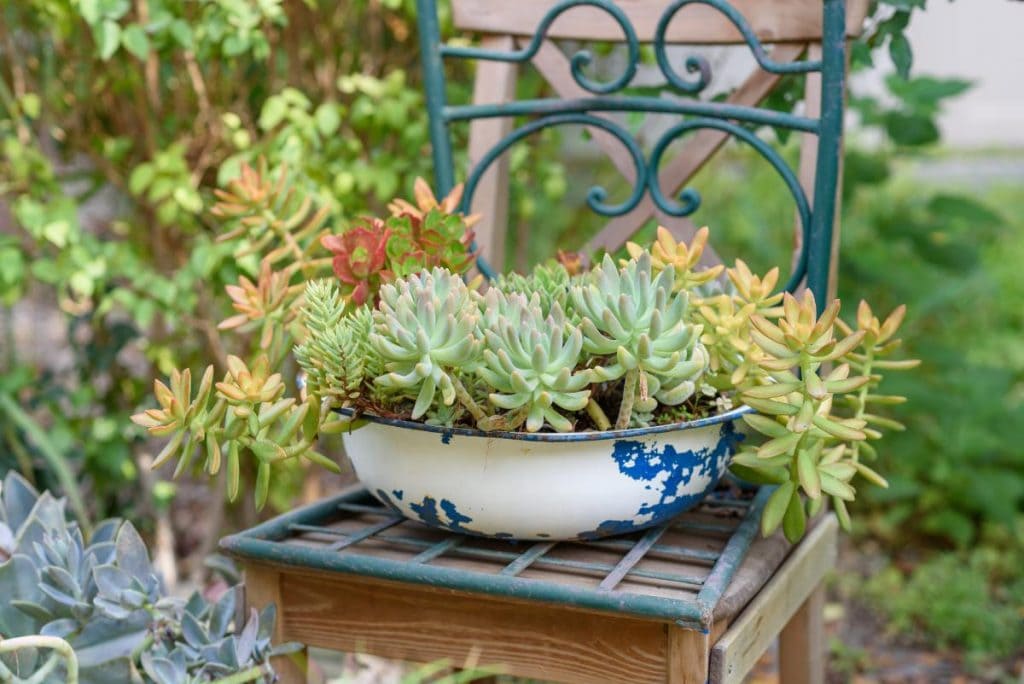 planter made out of metal bowl sitting on a chair