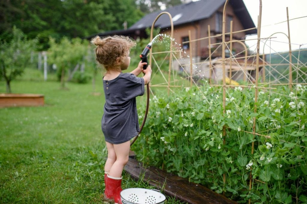girl spraying vegetable garden with water hose