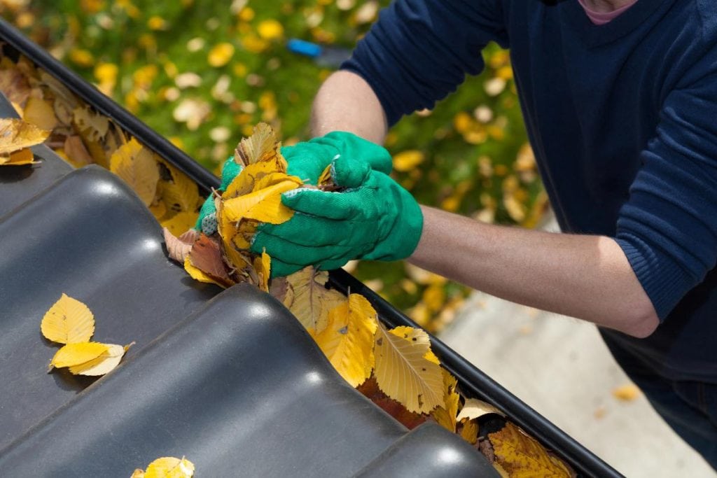 man with gloved hands removing autumn leaves from gutters
