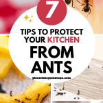 collage of ants on food with text overlay about tips to protect your kitchen from ants