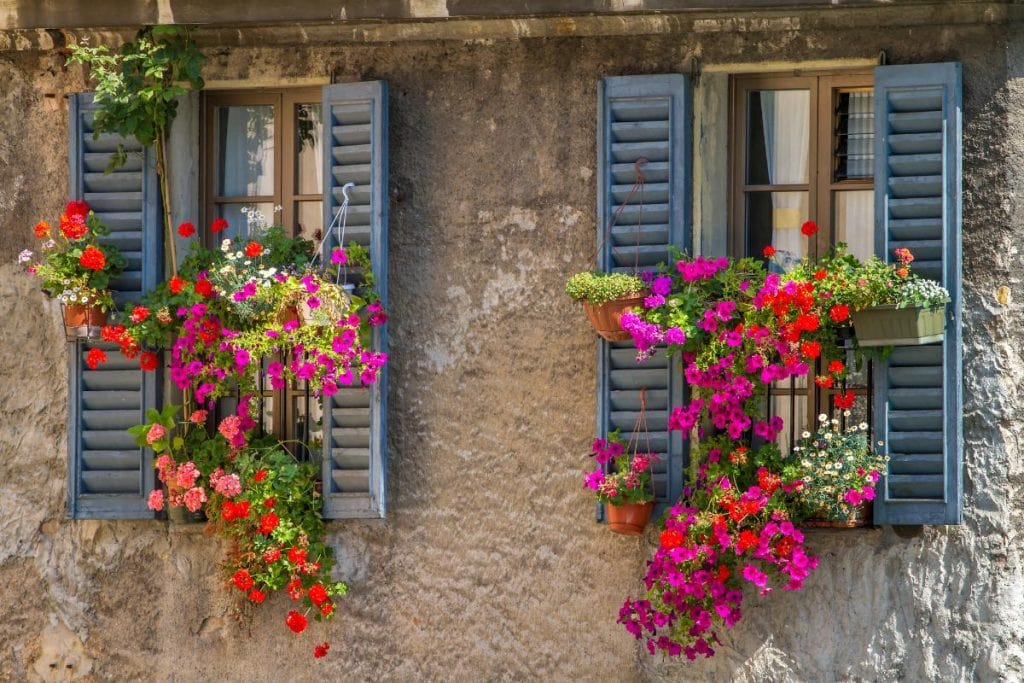 vintage wood shutters with flowers