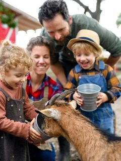 family on a farm feeding a goat