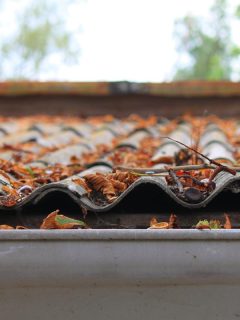 autumn leaves on a roof near the gutter