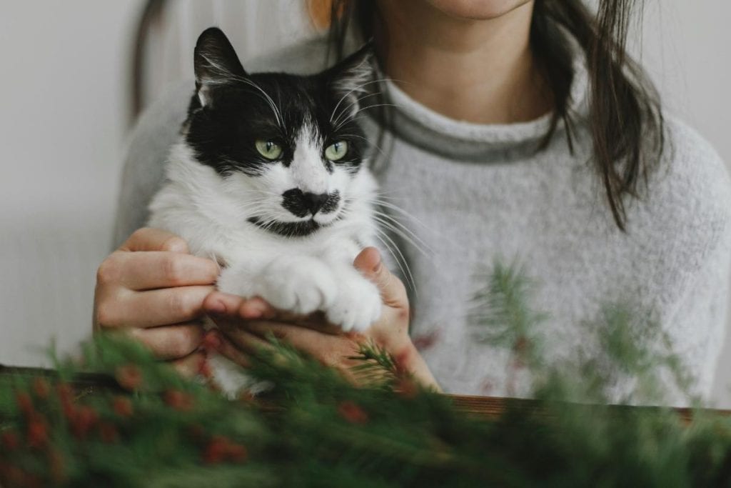 woman with black and white cat