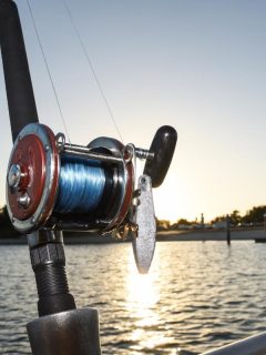 fishing reel with view of the sunrise