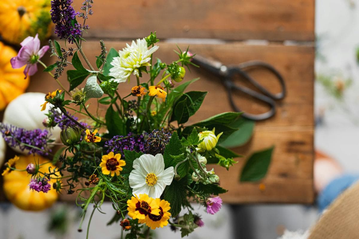 Flower Cooler Essential Guide to Preserving Fresh Cut Flowers