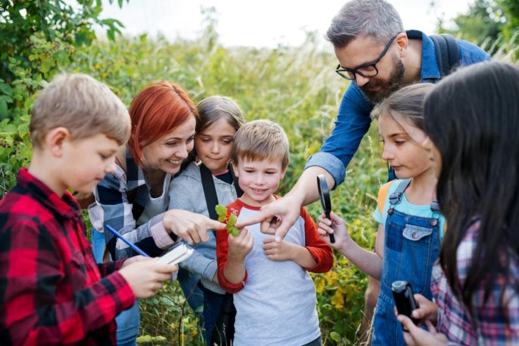 teachers helping kids identify plants