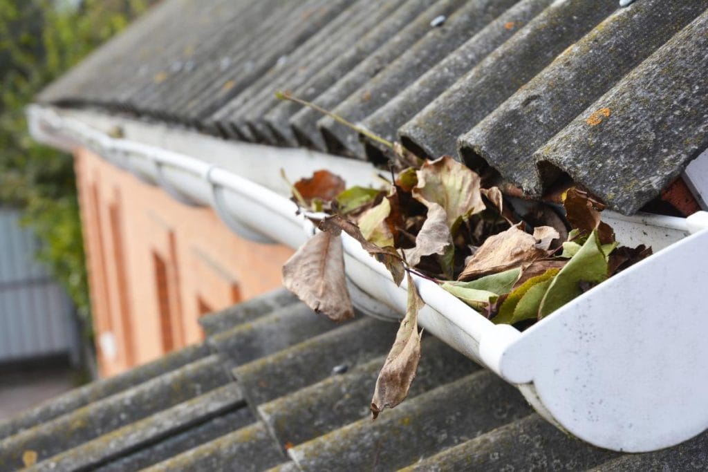 leaves in a gutter