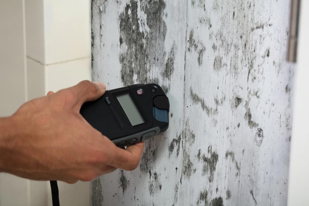 person measuring moisture in moldy wall